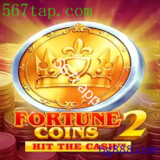 FortuneCoins2
